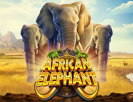 African Elephant™