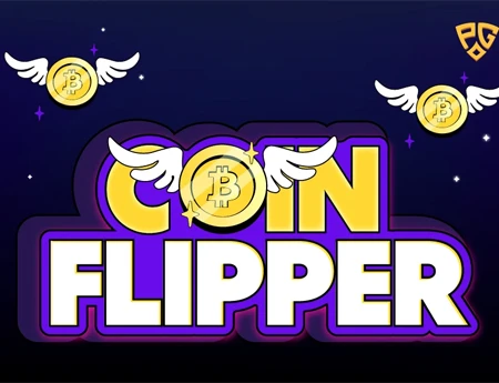 Coin Flipper