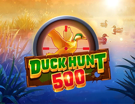 Duck Hunt 500
