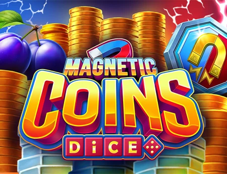 Magnetic Coins Dice