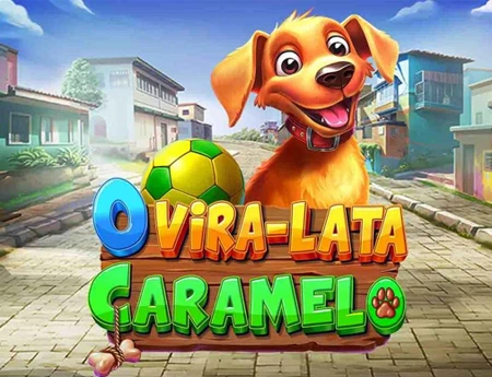 O Vira-lata Caramelo CV