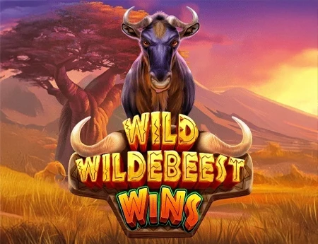 Wild Wildebeest Wins